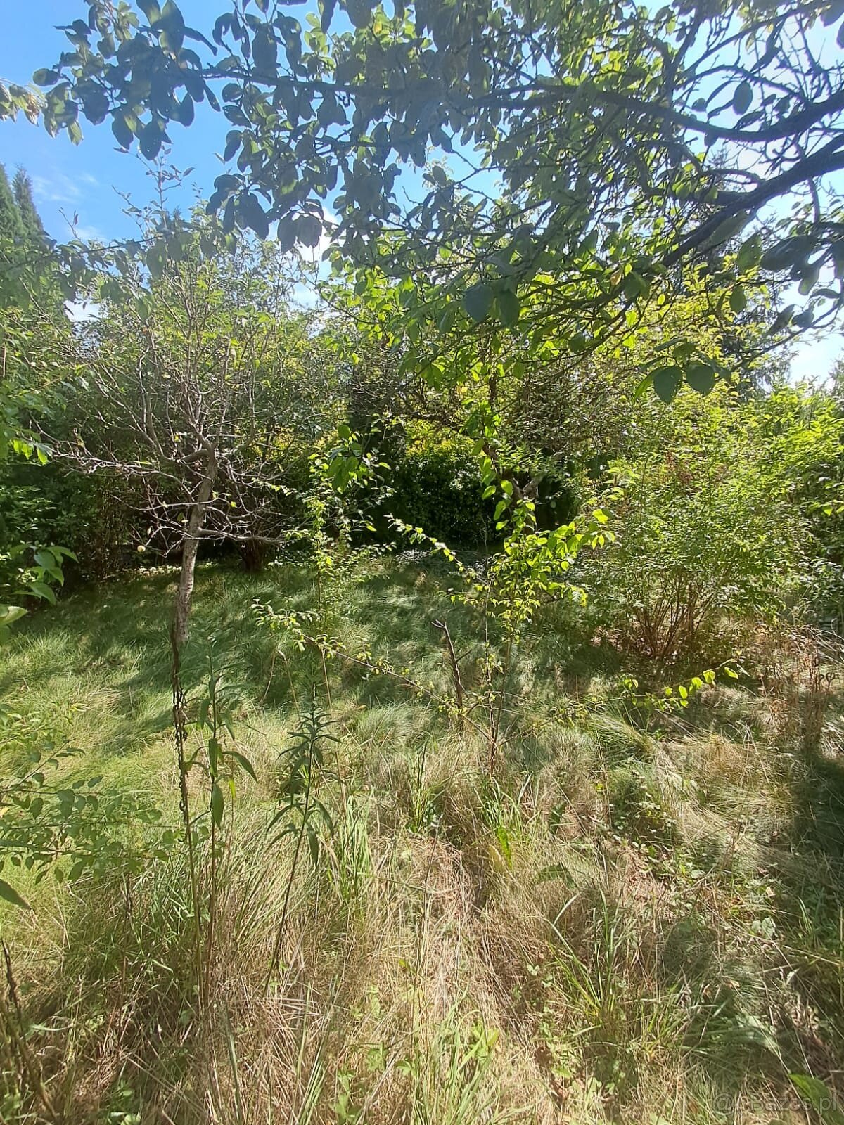 Działka rekreacyjna ,,Relax” Szałe o pow. 400m2 z domkiem - 4