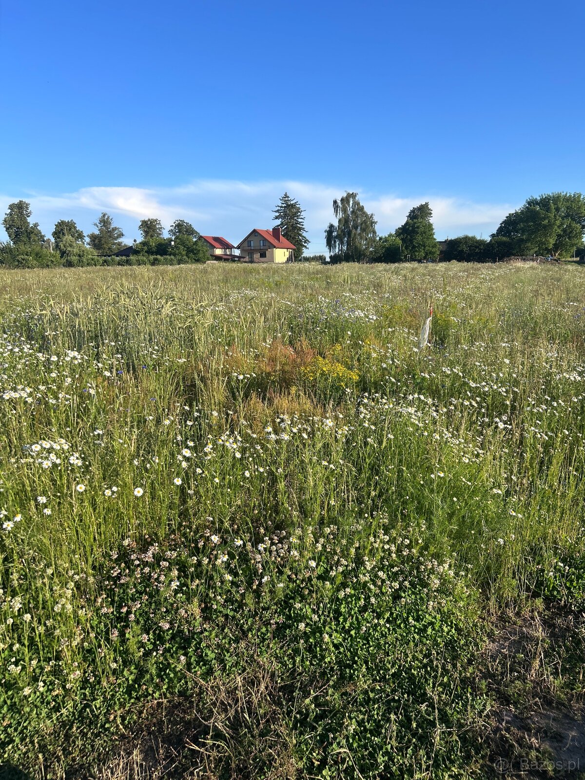 Sprzedam Działki budowlane Mława - 4
