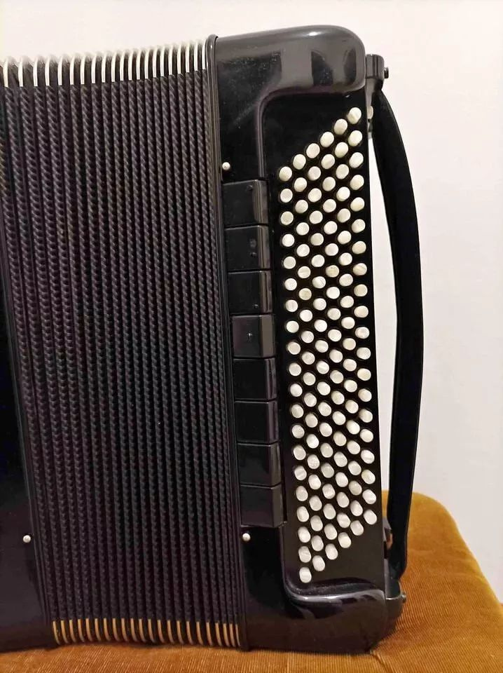 Akordeon 120 basów, kolor czarny, używany - 4