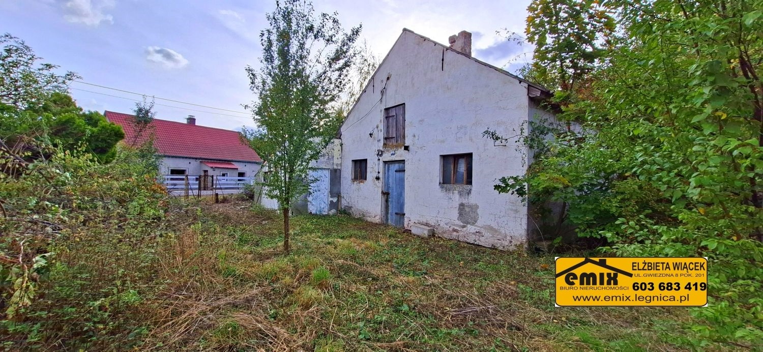 Działka z zabudowaniami do zamieszkania - Wojciechów - 4