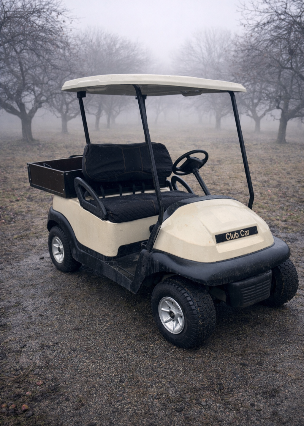 Elektryczny wózek golfowy - 4