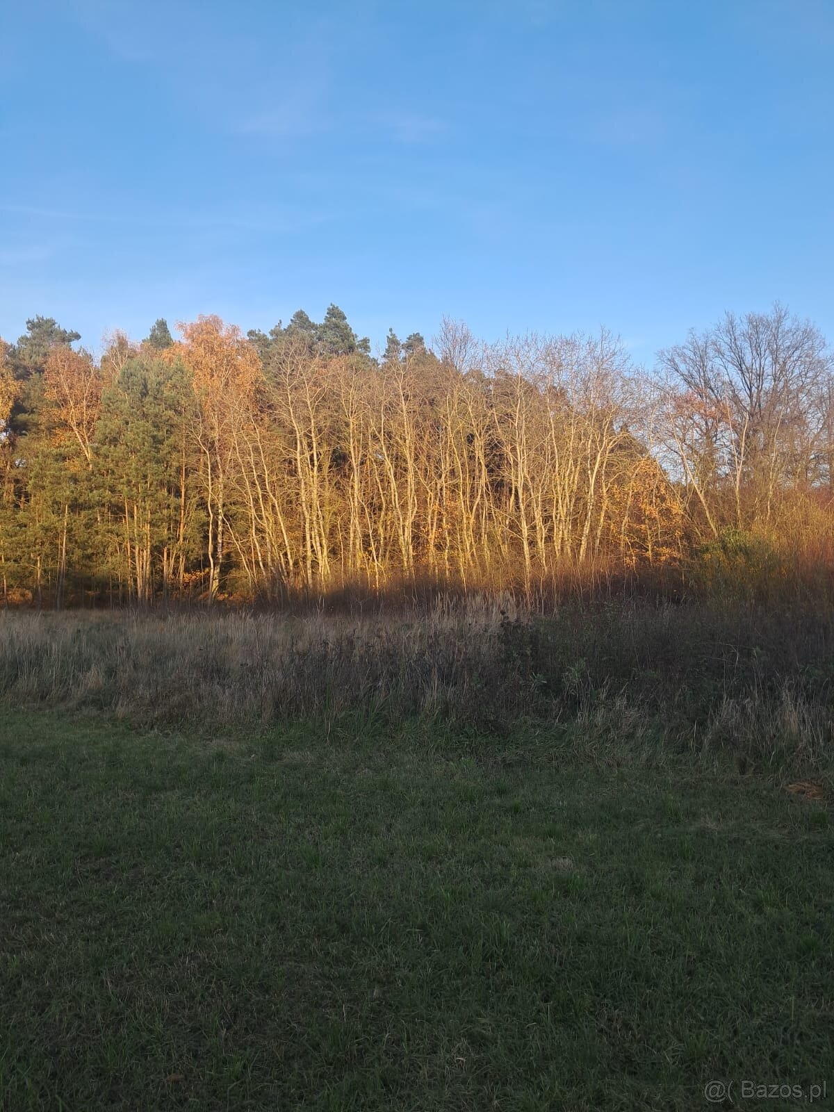 Działka budowlana z warunkami o pow. 1400m2, Dzierzbin - 4