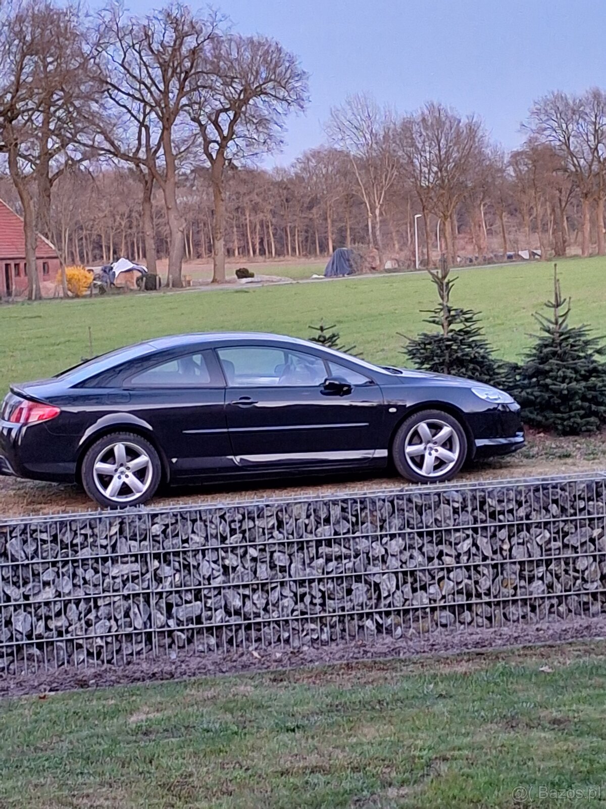 Sprzedam Peugeot 407 Coupe - 4