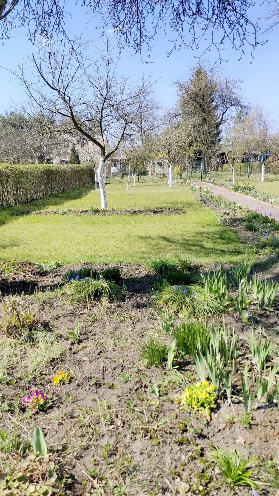 Dzialke ROD do odstapie Wroclaw - 4