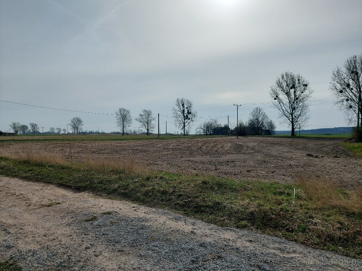 działka mieszkaniowo-handlowo-usługowa, 0,3204 ha, Mirakowo - 4