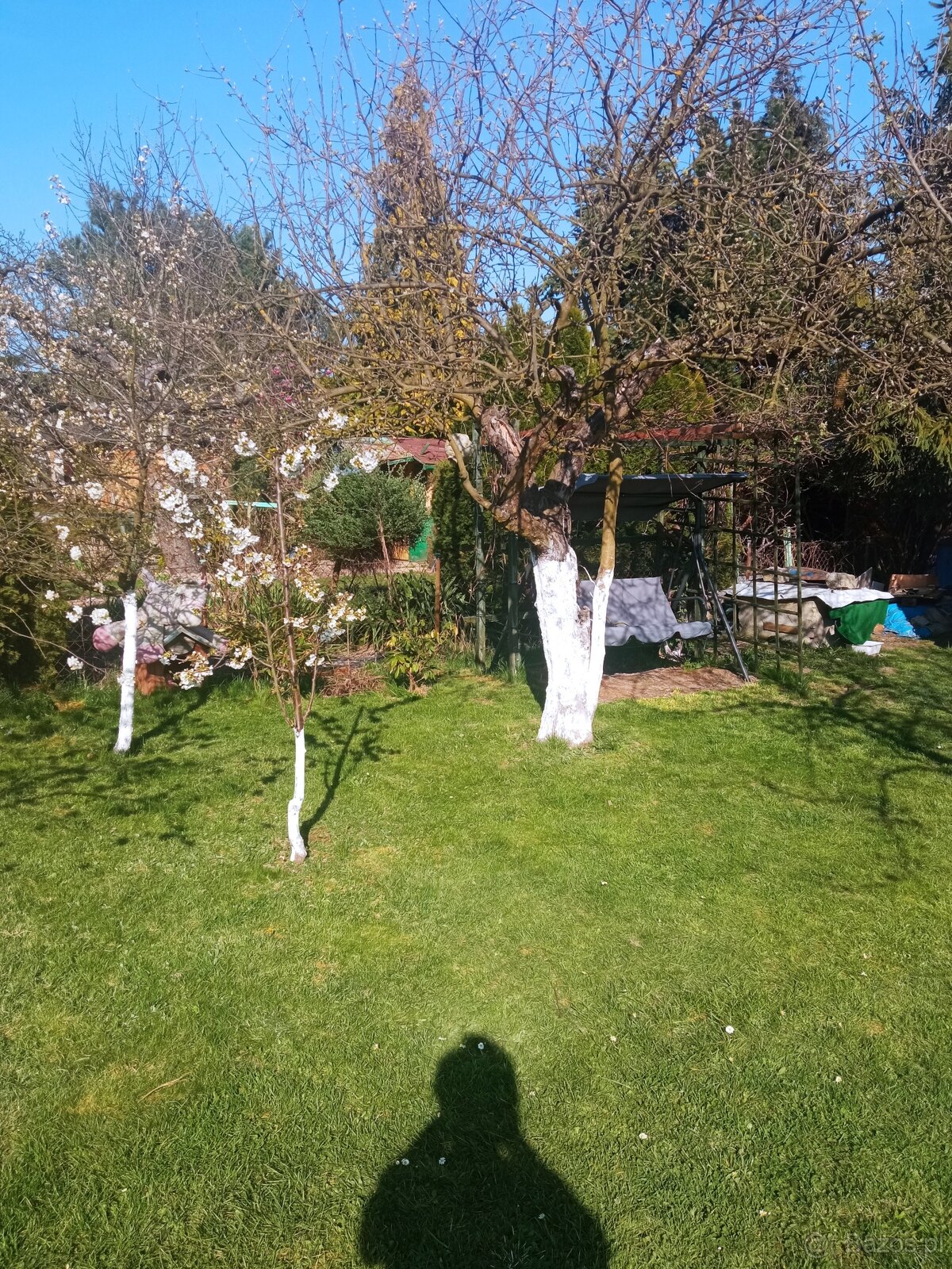 Sprzedam prawo do użytkowania działki ROD - 4