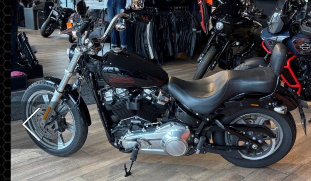 Harley davidson softail standard 2024 - 4