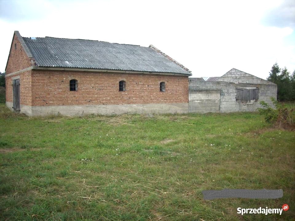 Sprzedam działkę siedliskową z zabudowaniami - 4