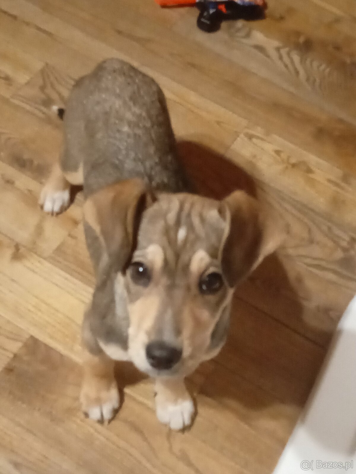 Oddam w dobre rece - 4