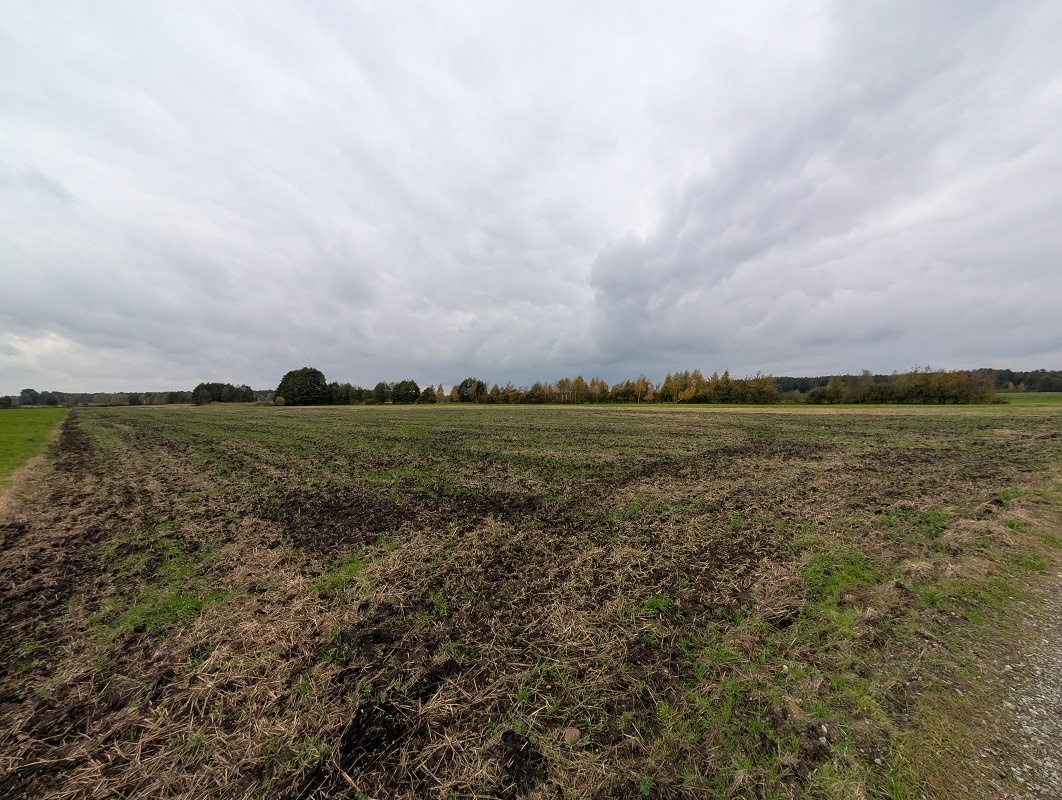 Działki rolne o powierzchni 1700m², 2581m2, 3088m²,Strzałków - 4
