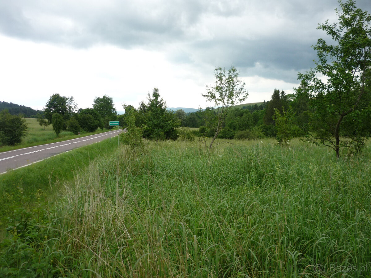 Działka w Bieszczadach - 4