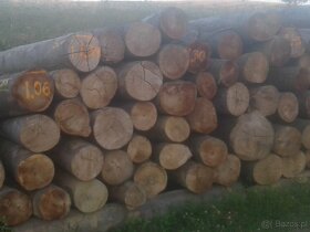 Drewno opałowe bukowe - 4