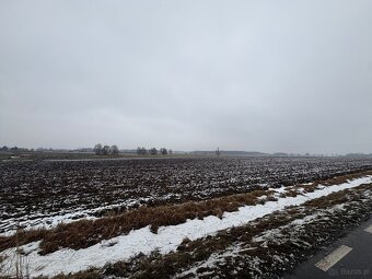 Działki budowlane z bezterminowymi warunkami zabudowy,Zborów - 4