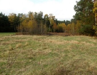 Działka budowlana 4200 m² – Zbiersk, gm. Stawiszyn - 4