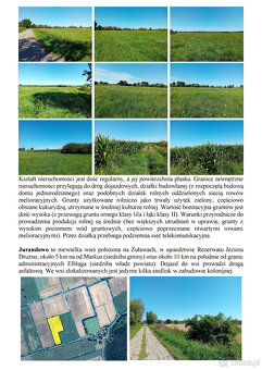 Syndyk sprzeda udziały w grunatach Żurawiec, Żółwiniec, Jura - 4