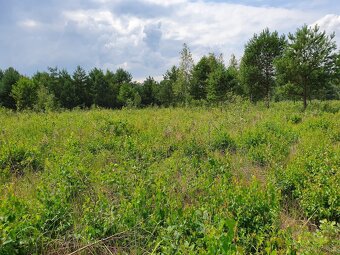 Działka Rolno-Rekreacyjna 3000m2 przy Puszczy Bolimowskiej - 4