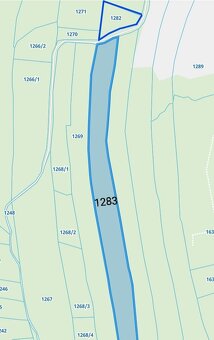 Działki leśne w Lipnicy Dolnej - 6 hektarów - 4