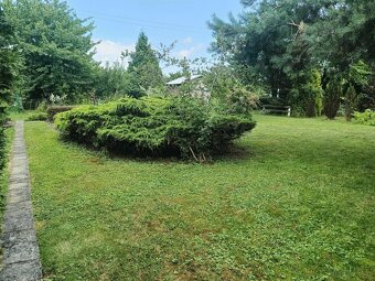 ROD "Słonecznik" Tarnów ul. Ostrogskich - 4