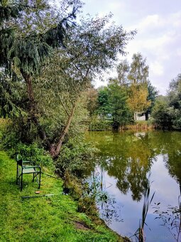 Sprzedam Działkę ROD Czarnowiec okolice Ostrołęki - 4