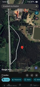 Sprzedam działki leśne - 4