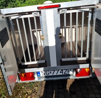Przyczepka do przewozu psów - 4