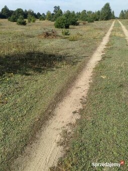 Działka 1050m gm. Aleksandrów Łódzki - Ciężków - 4