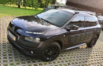 C 4 cactus - 4