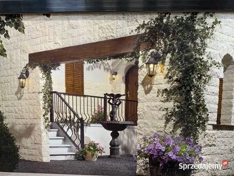 Holenderskie płytki elewacyjne EUROC 10 - 4