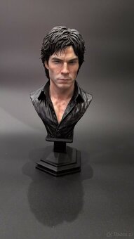 Vampire diaries : Damon Salvatore - 4