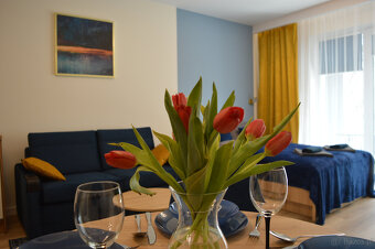 Apartament Centrum - 4