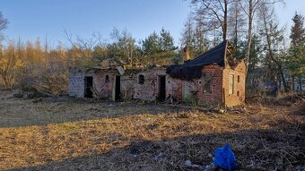 Gospodarstwo rolne 8800m2. dla każdego. Gmina Szadek. - 4