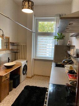 Przytulna i duża kawalerka w centrum Szczecina. - 4