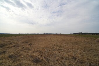 Pilnie sprzedam ziemię rolną gm. Kościelec - 4