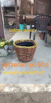 Żywe drzewka z wikliny w donicach - 4
