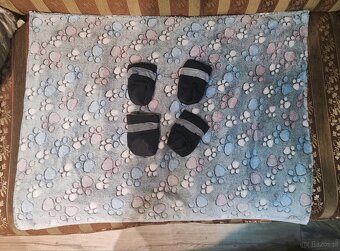 Buty dla psa do 9kg 3XL + kocyk polarowy w łapki - 4