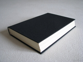 Szelmostwa niegrzecznej dziewczynki - Mario Vargas Llosa - 4