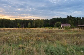DZIAŁKA ROLNO-BUDOWLANA , WZ- 5267 m² - 4