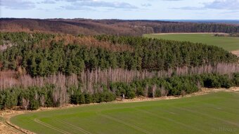 Działka z warunkami tylko 129 tyś zł ( 1188 m2) okazja - 4