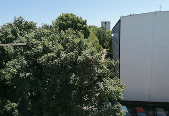 Kawalerka z balkonem, Łódź, ul. Matejki 6a - blisko UŁ - 4