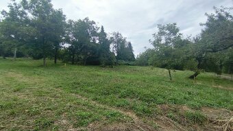 Działka bud. 19 arów- Janowice, powiat tarnowski, gm. Pleśna - 4