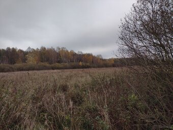 Sprzedaz dzialki - 4