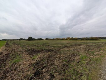 Działki rolne o pow. 1700m², 2581m2, 3088m², Strzałków - 4