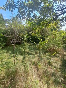 Działka rekreacyjna ,,Relax” Szałe o pow.00m2 z domkiem - 4