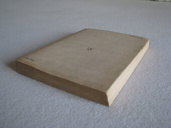 Panienka z okienka, Deotyma (Jadwiga Łuszczewska) - 4