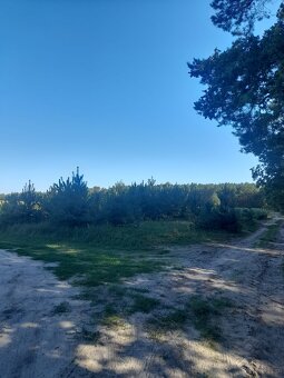 Działki budowlane 600m2, Józefów, pod lasem - 4