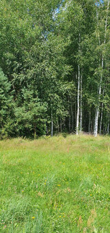 Sprzedam działki - 4