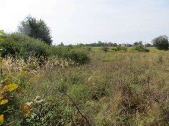 Syndyk sprzeda nieruchomość - 4