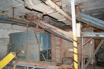 Linia do sortowania ziemniaków cebuli 10ton/h - 4