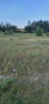 Działka budowlana o powierzchni 1452m2, gm. Szczytniki - 4