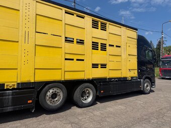 Auto do przewozu Bydła Volvo FH16  550  rok pr 2017  243tys - 4